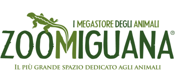 Logo_Azienda_Zoomiguana_Colori